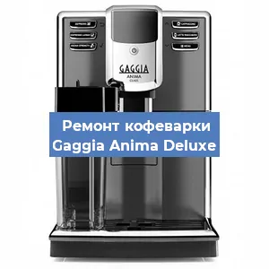 Чистка кофемашины Gaggia Anima Deluxe от накипи в Новосибирске